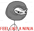 Feel Like a Ninja
